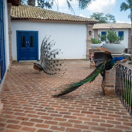 Hotel Fazenda Sao Silvano Морунгаба Екстериор снимка