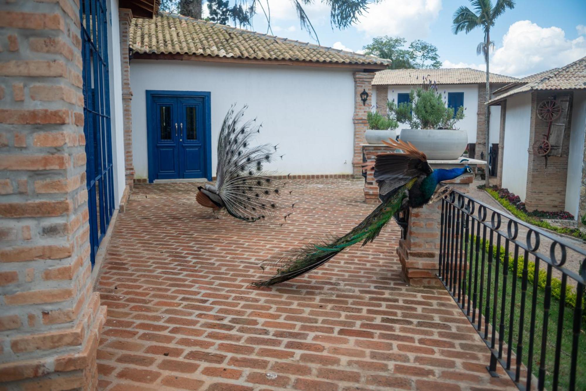 Hotel Fazenda Sao Silvano Морунгаба Екстериор снимка
