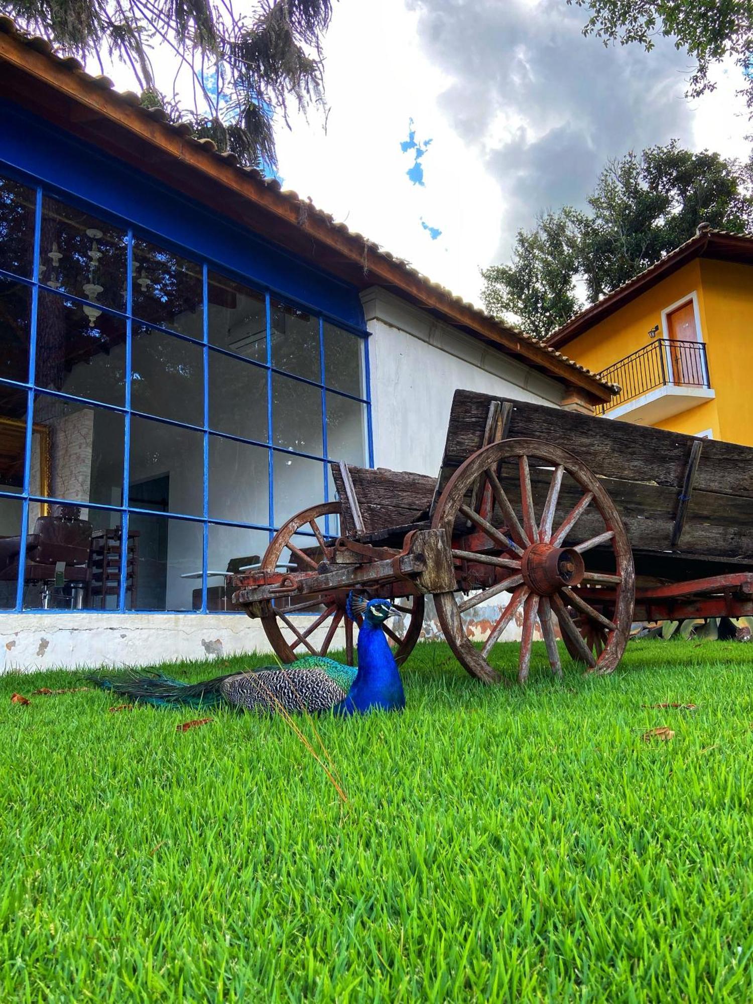 Hotel Fazenda Sao Silvano Морунгаба Екстериор снимка