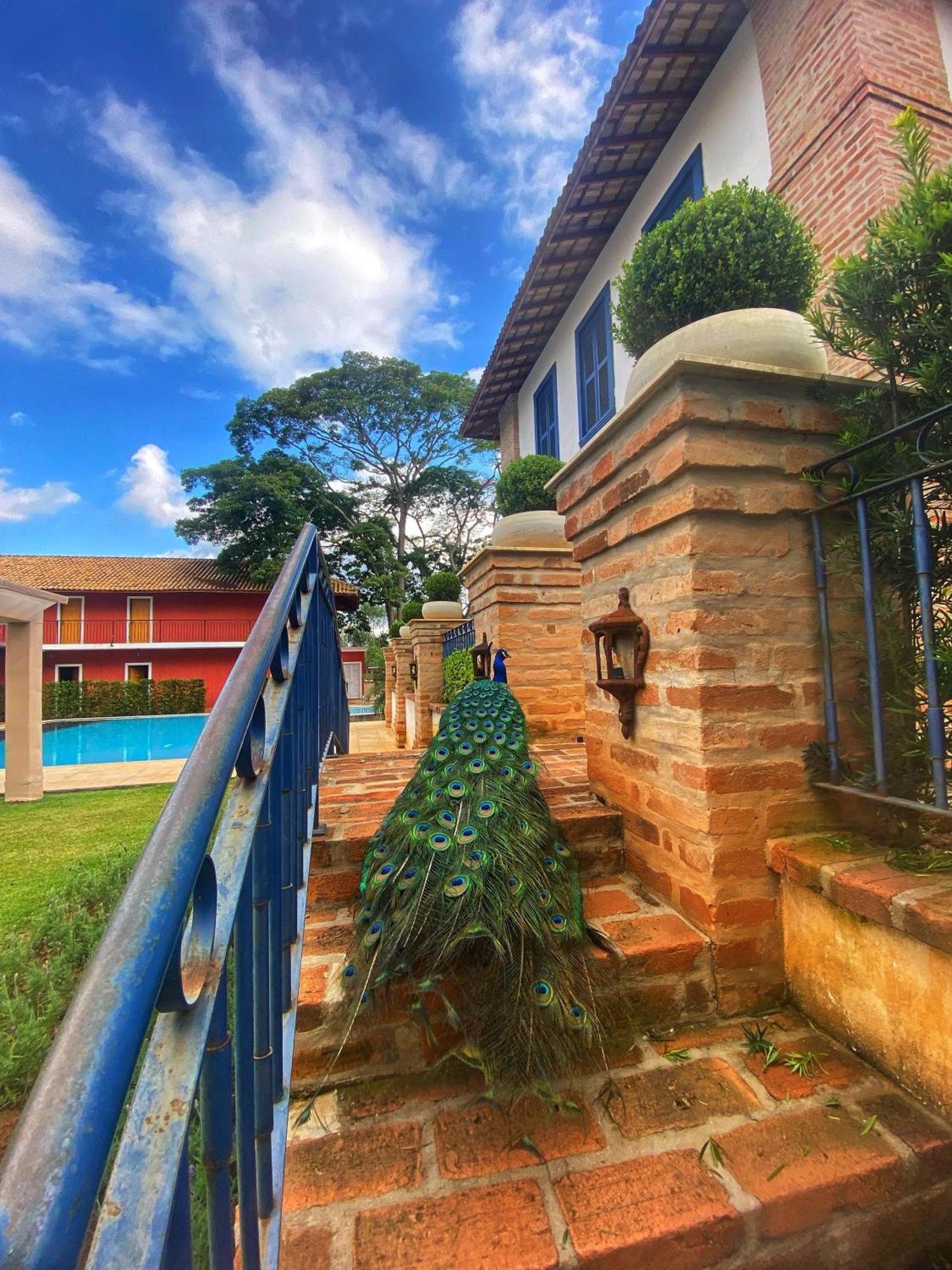 Hotel Fazenda Sao Silvano Морунгаба Екстериор снимка